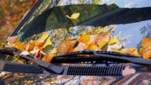 entretien voiture en automne